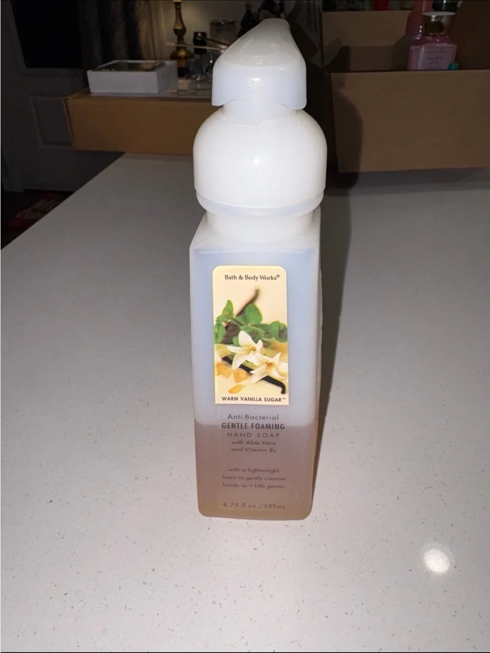 Bath Body Works vintage warm vanilla sugar cinnamon pumpkin sparkling watermelon